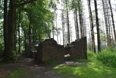 Wallburg Tönsberg