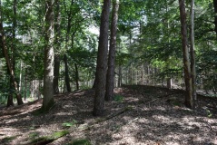 Grabhügelfeld Kalbeck