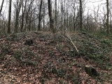 Click for full size image of Wallburg Hülser Berg (PID:161960) Wallburg Hülser Berg