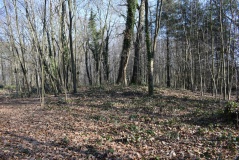 In der Monning