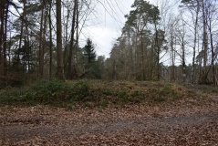 Grabhügelgruppe Lohmarer Wald