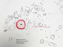 Grabhügelfeld Telgte-Raestrup
