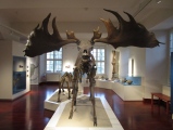 Emschertal-Museum - PID:190403