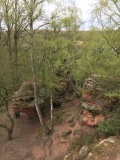 Katzensteine