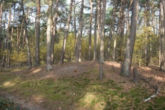 Grabhügel Poelvenn