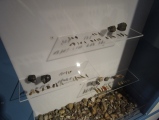 Emschertal-Museum - PID:190404