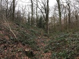 Click for full size image of Wallburg Hülser Berg (PID:161965) Wallburg Hülser Berg
