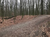 Click for full size image of Wallburg Hülser Berg (PID:161968) Wallburg Hülser Berg