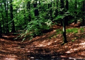 Erdenburg - PID:115441