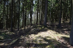 Wallburg Kahle
