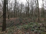 Click for full size image of Wallburg Hülser Berg (PID:161964) Wallburg Hülser Berg
