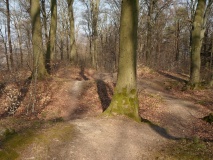 Sieben Gräben