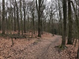 Click for full size image of Wallburg Hülser Berg (PID:161958) Wallburg Hülser Berg
