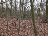 Click for full size image of Wallburg Hülser Berg (PID:161962) Wallburg Hülser Berg
