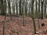 Click for full size image of Wallburg Hülser Berg (PID:161967) Wallburg Hülser Berg