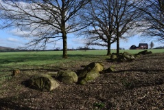 Beckum 2