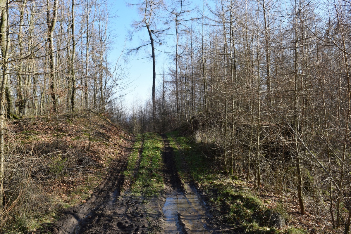 In den Gleiern