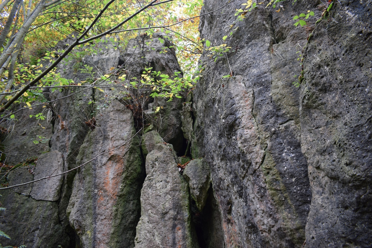 Click for the gallery page to add comments and vote (PID:250492) Rummerschlegel