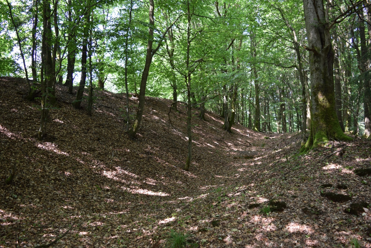 Wallburg Wilzenberg