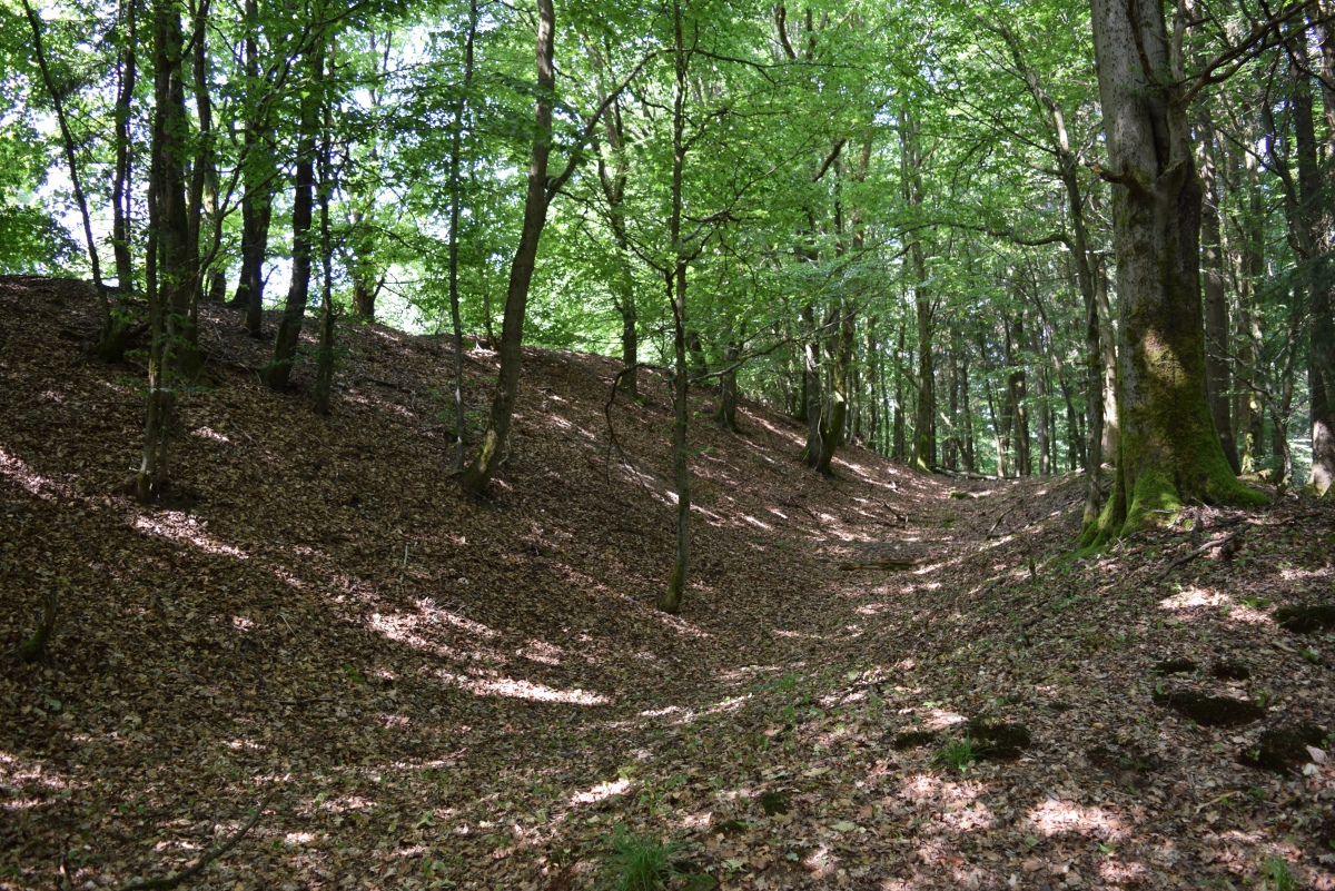 Rampart of the Wallburg Wilzenberg
Pic from Juni 2019