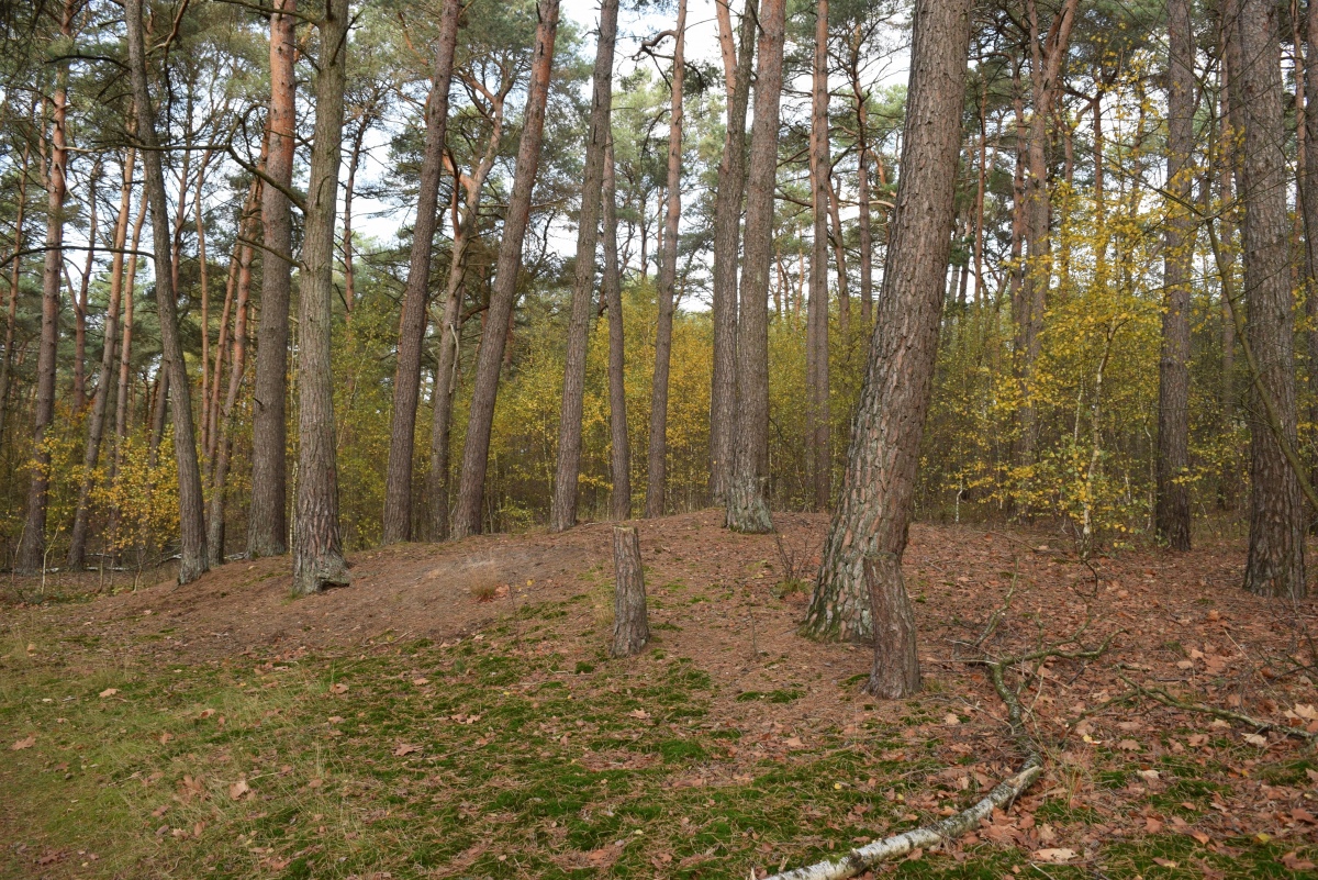 Click for the gallery page to add comments and vote (PID:266902) Grabhügel Poelvenn