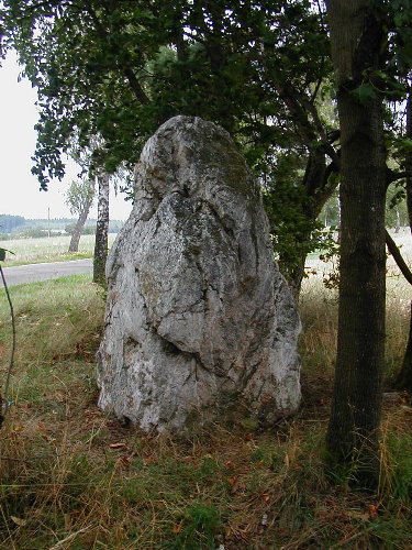 Menhir Schönberg 1