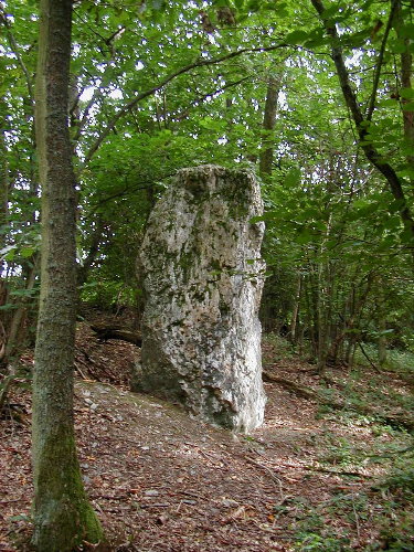 Click for the gallery page to add comments and vote (PID:14662) Menhir Schönberg 2