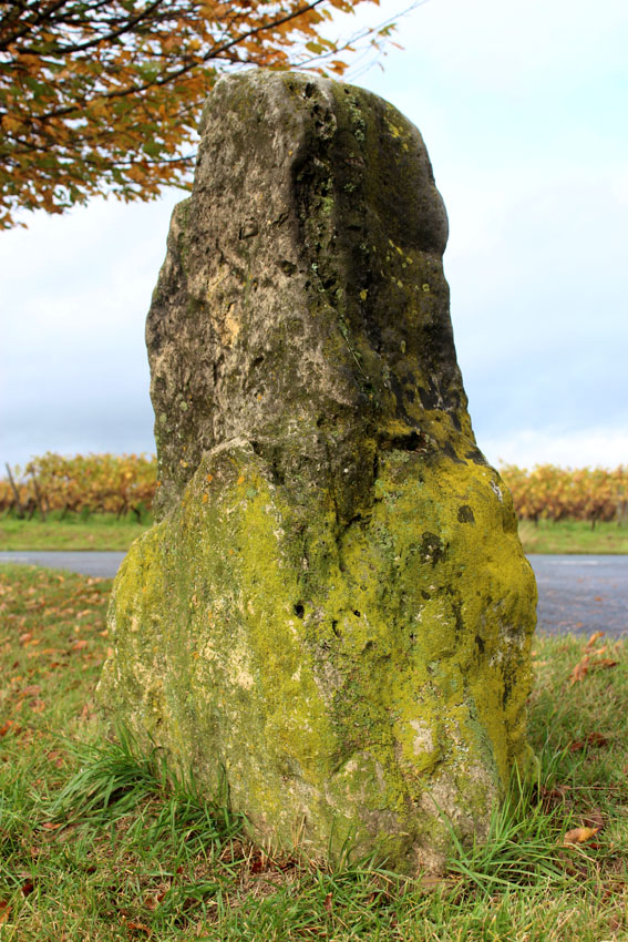 Der Lange Stein Nackenheim, standing stone.