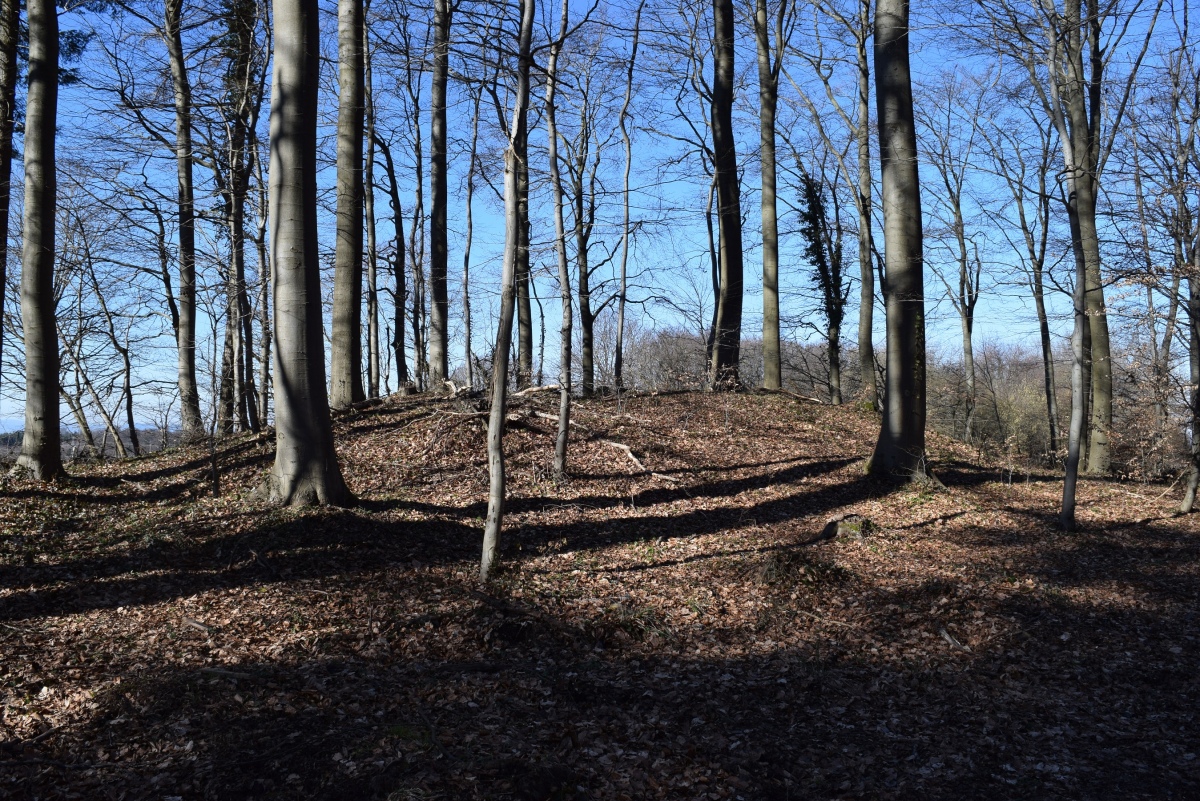 Click for the gallery page to add comments and vote (PID:223874) Grabhügelfeld Waldesch