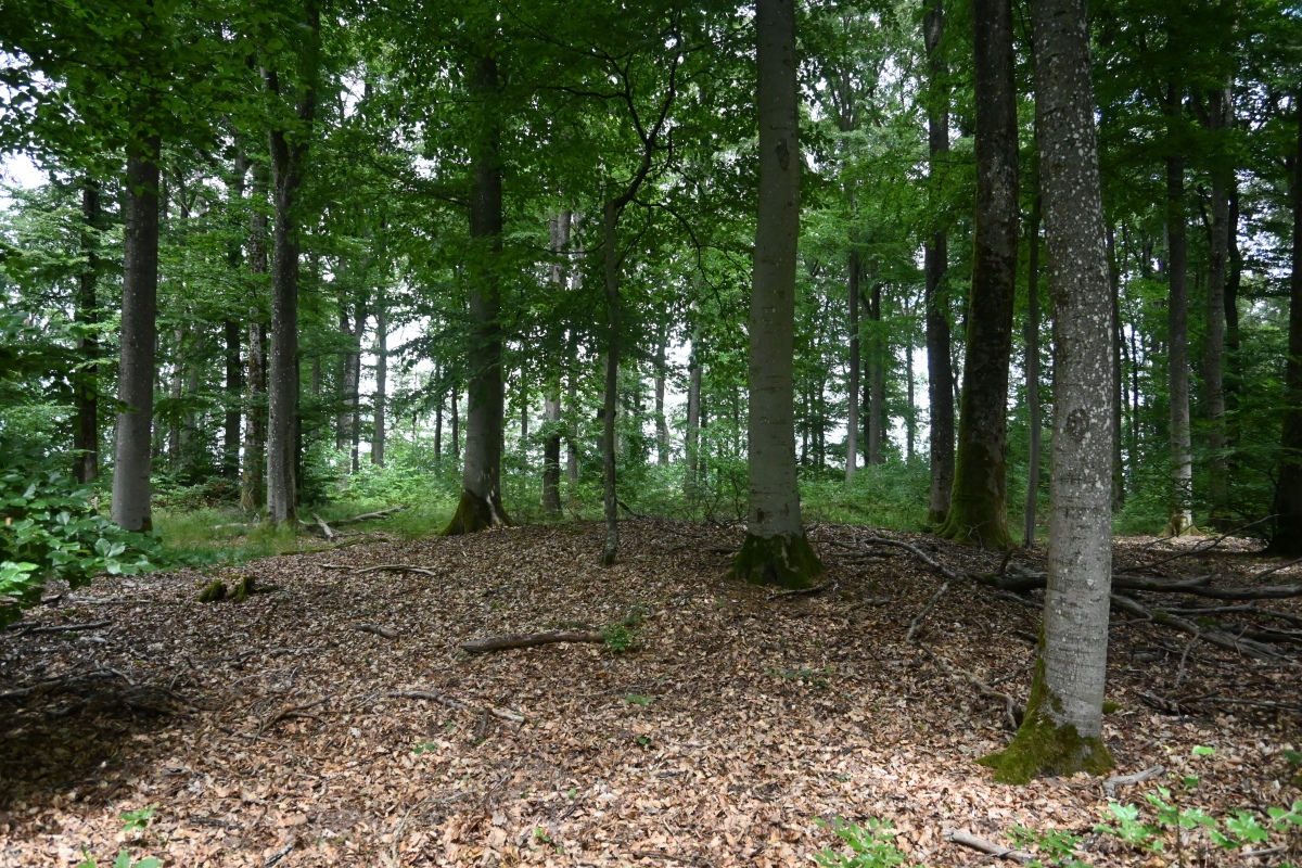Click for the gallery page to add comments and vote (PID:306290) Grabhuegelgruppe Eisenach