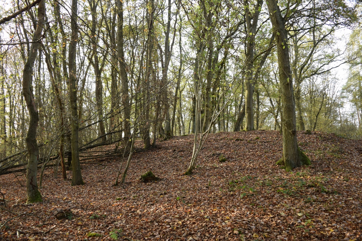 Alte Burg Singhofen
