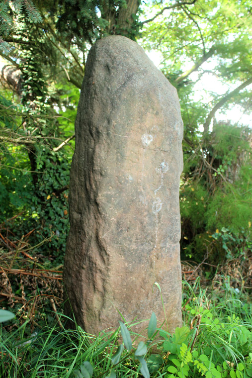 Click for full size image of Freinsheim Langer Stein (PID:124289) Freinsheim Langer Stein
