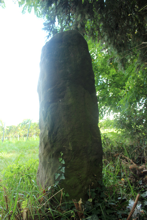 Click for full size image of Freinsheim Langer Stein (PID:124278) Freinsheim Langer Stein