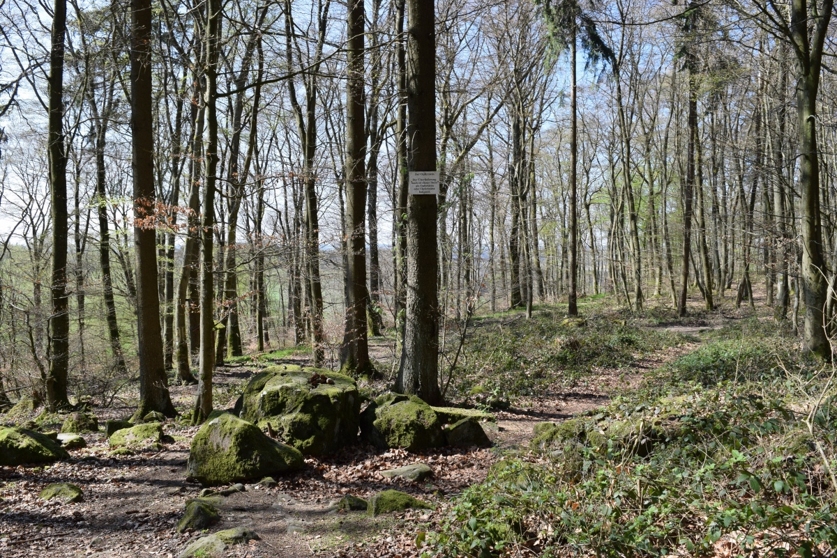 Steineberg Opferstein