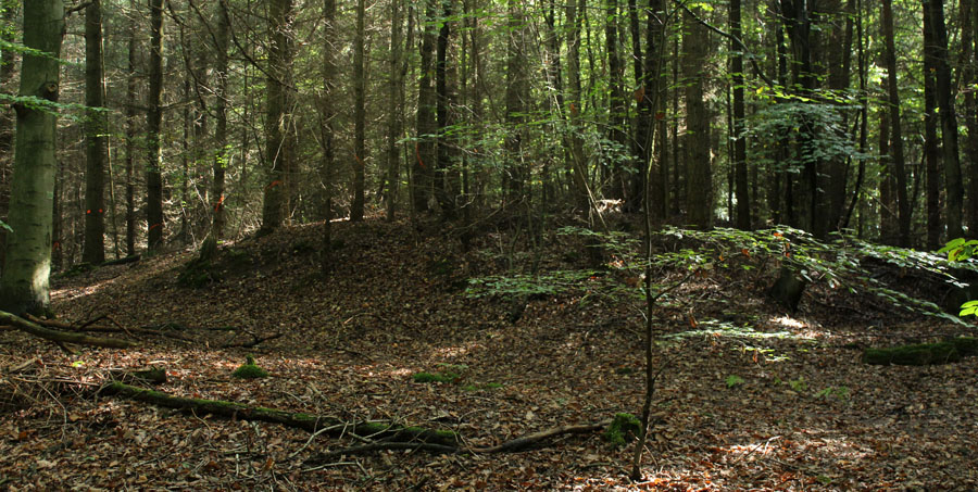 Huegelgraeber Hettenleidelheim