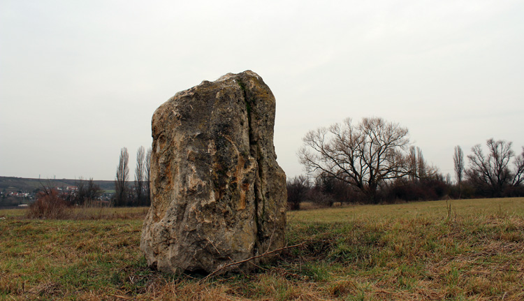 Click for full size image of Laubenheimer Stein (PID:101580) Laubenheimer Stein