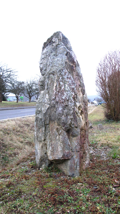 the koenigsstein Menhir (king´s stone) around 1,80m tall.
