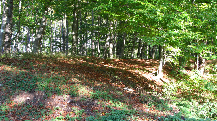 Donnersberg