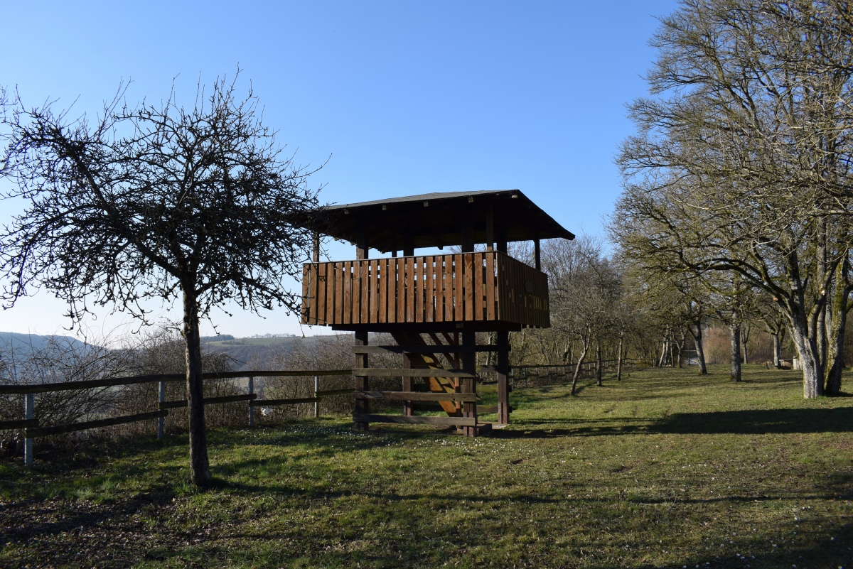 Wallendorf Hillfort