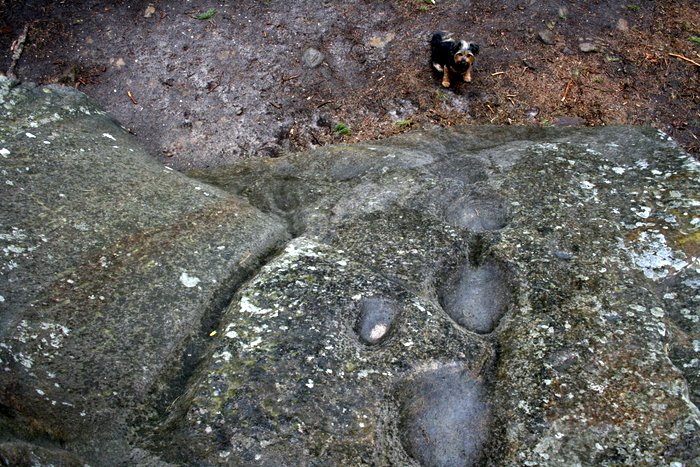  Teufelsstein (Grethen)
