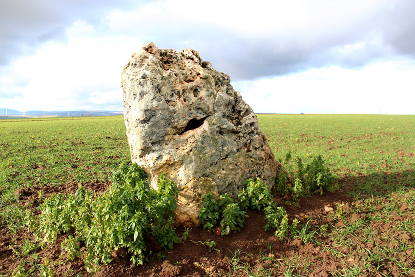 Einselthum Lange Stein