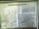 Druidenstein Moselkern - PID:199239