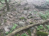 Druidenstein Moselkern - PID:199236