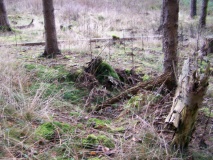 Huegelgraeberfeld Dockweiler Wald