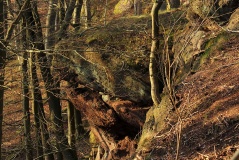 Drachenfels