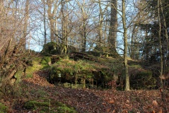 Drachenfels