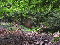 Eichelberg Menhir