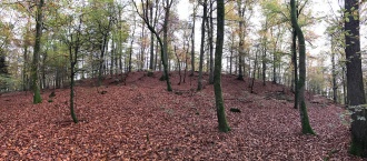 Erden Hillfort