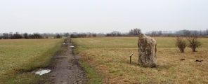 Click for full size image of Laubenheimer Stein (PID:101576) Laubenheimer Stein