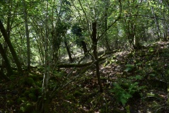 Keltenburg Fischbach